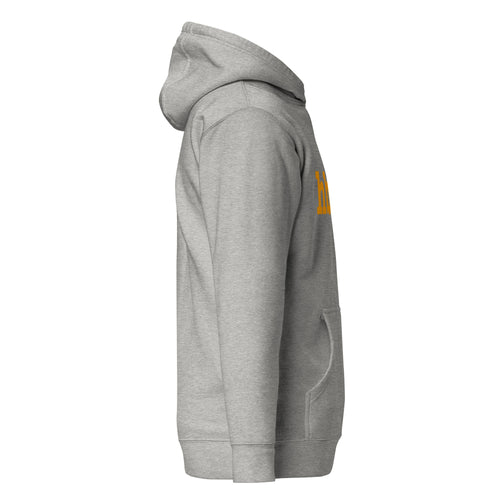 HBCU Unisex Hoodie - Orange Writing
